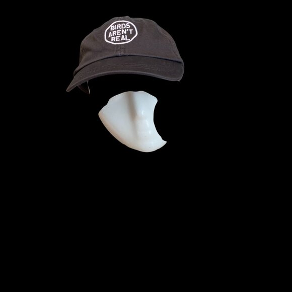 Birds' Aren't Real Unisex Adult Embroidered Adjustable Dad Hat Charcoal Adams - Picture 1 of 8